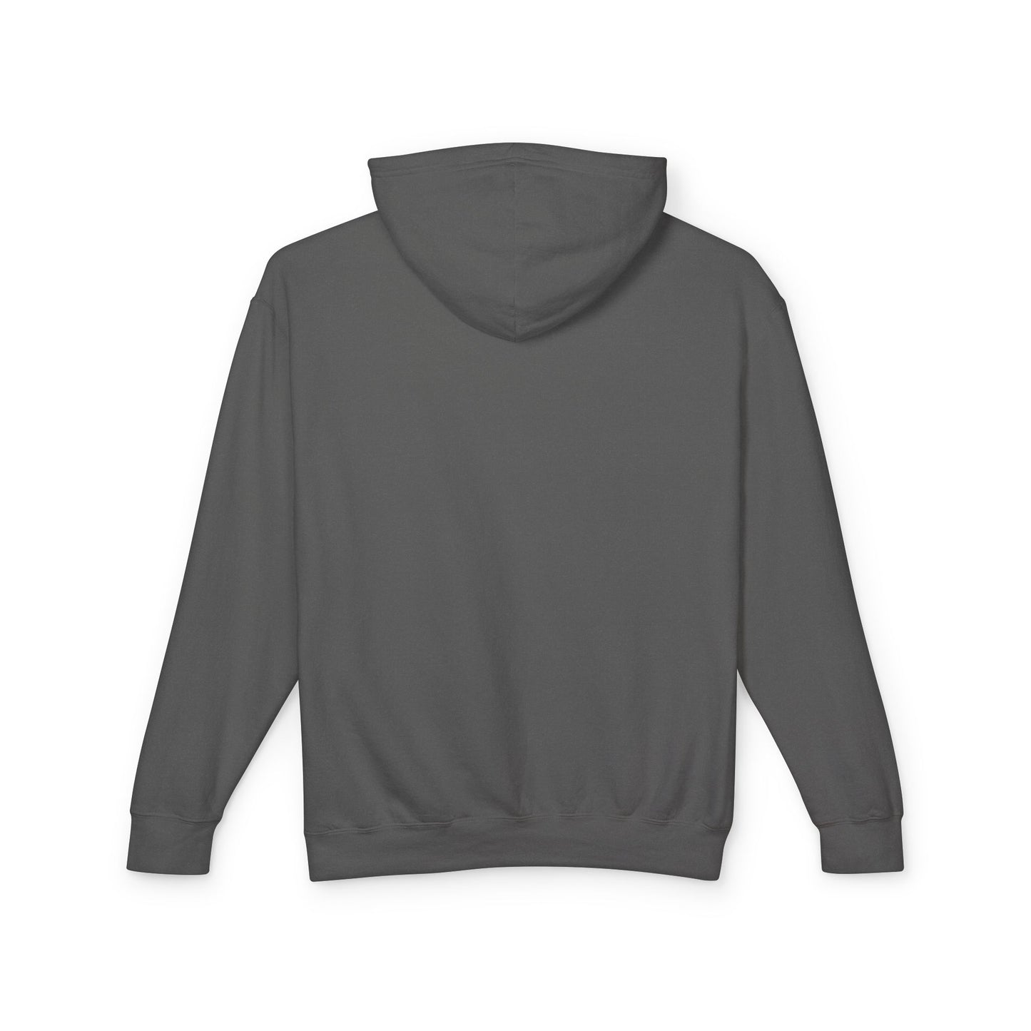 Algiers Algeria Vintage Door Hoodie