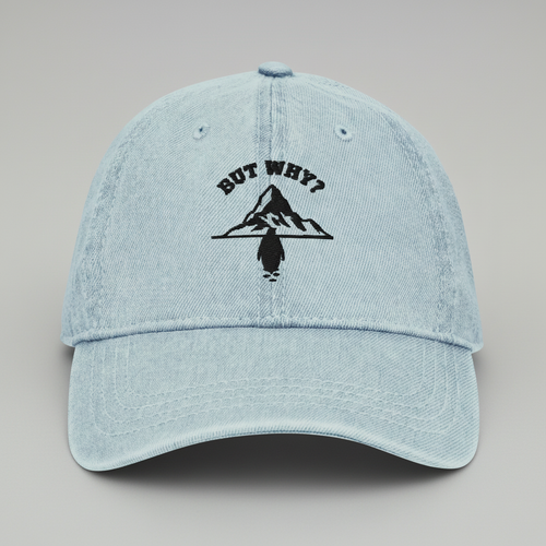 Flat Lay - But Why Cap