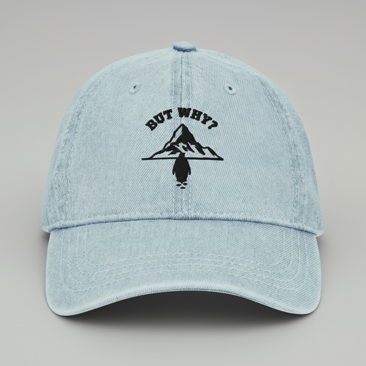 Flat Lay - But Why Cap