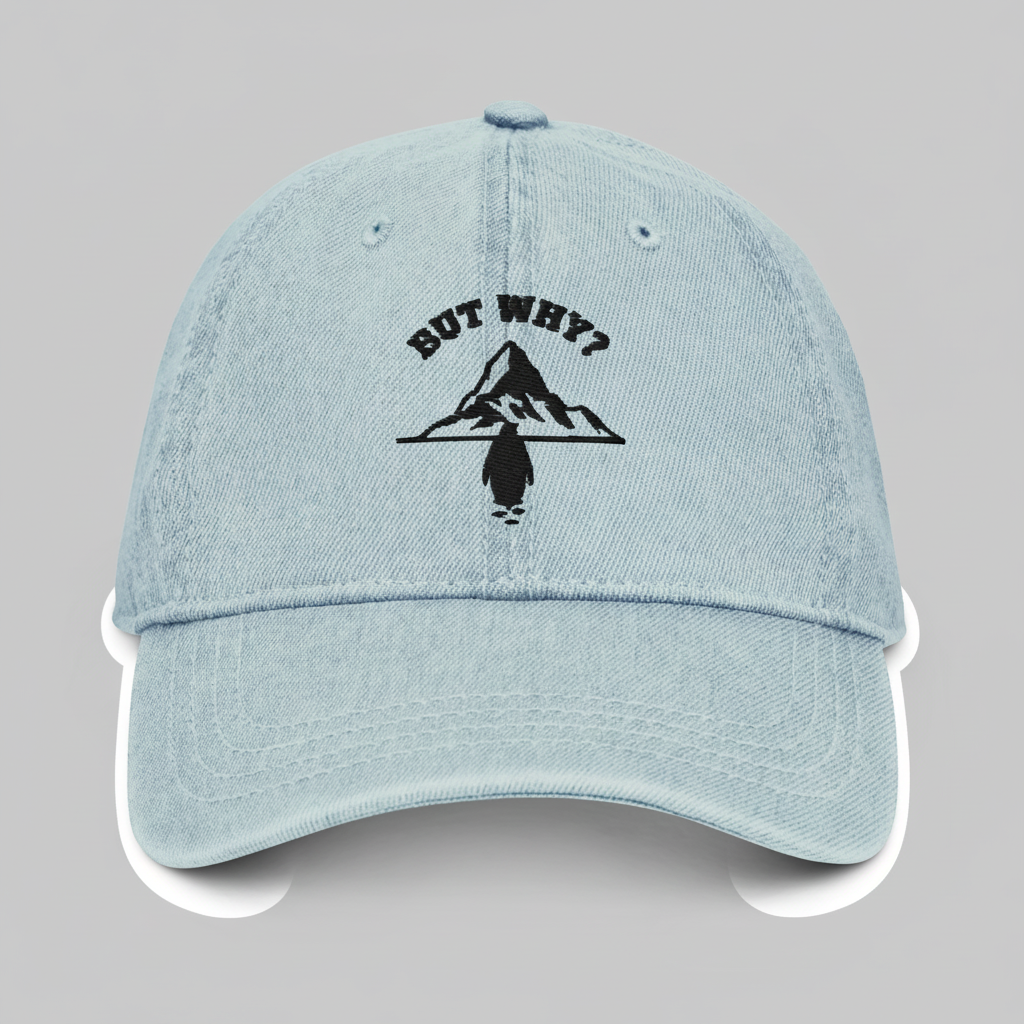 Front View - But Why Cap