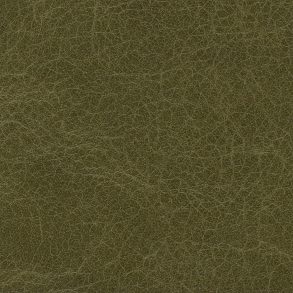 Olive green leather texture